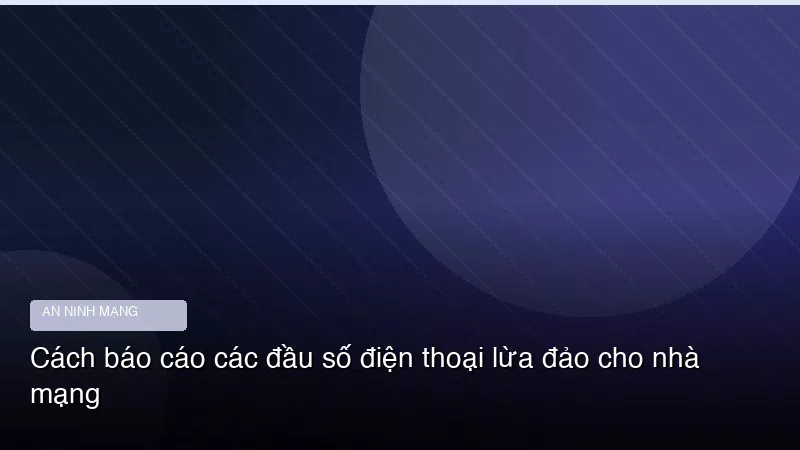Phân tích chuyên sâu hình ảnh Cách báo cáo các đầu số điện thoại lừa đảo cho nhà mạng